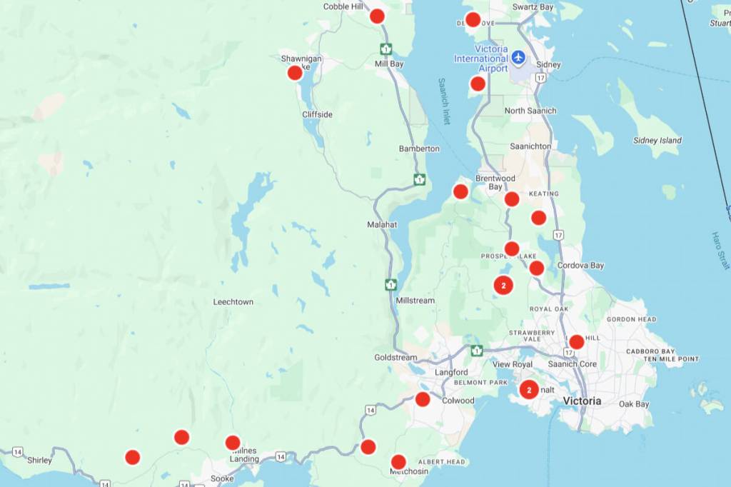 Trees down: Hydro reports 5,500 without power across South Island